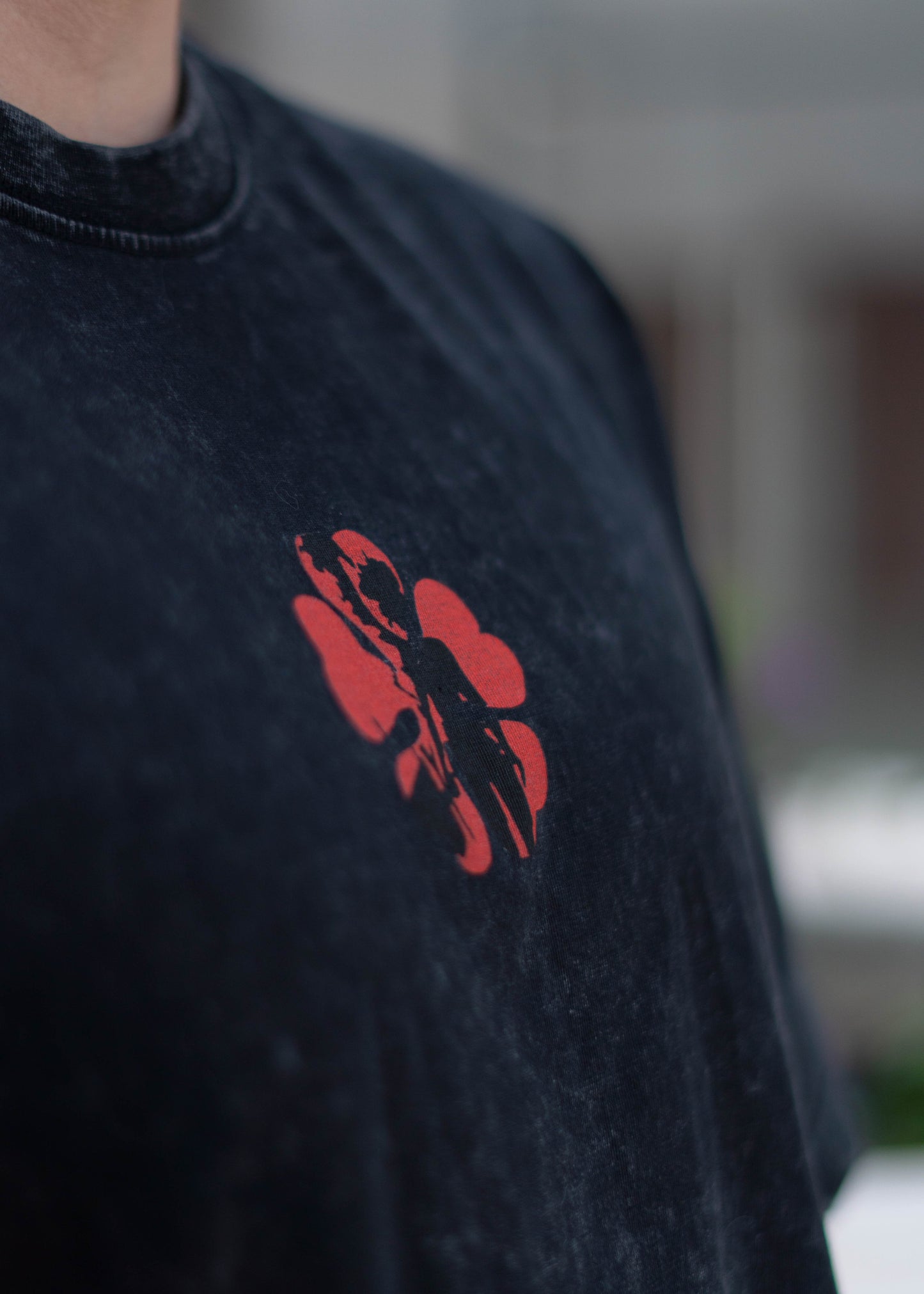 POLERA ASTA AND LIEBE